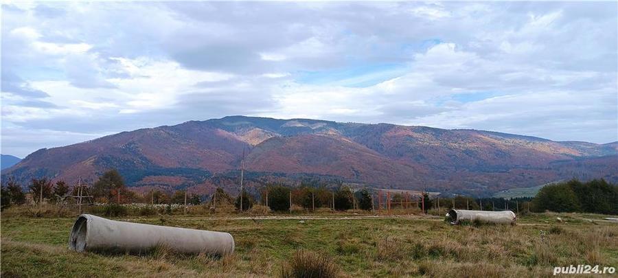 Teren de 5050 mp, în Nucșoara