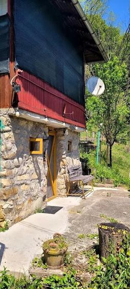Casă cu Teren 1800 Mp în Cosmina de Sus