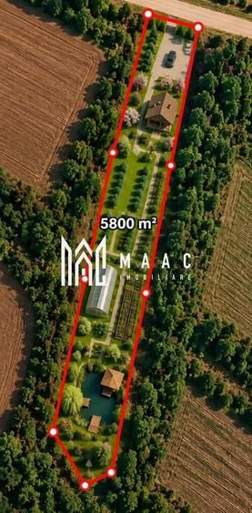 Teren agricol extravilan de 5800 mp, în Daia