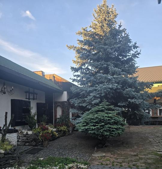 Casă cu 4 camere în Recea