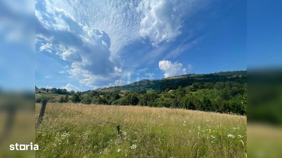 Teren de 20000 mp, în Săcuieu