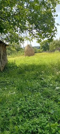 Casă cu 3 camere cu Teren 20000 Mp în Groși