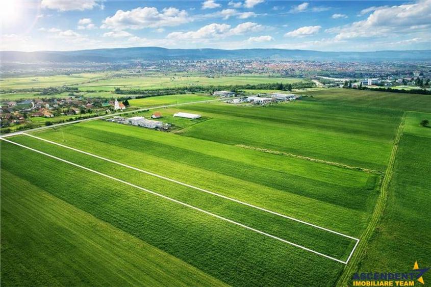 Teren agricol intravilan de 7850 mp, în Exterior Est