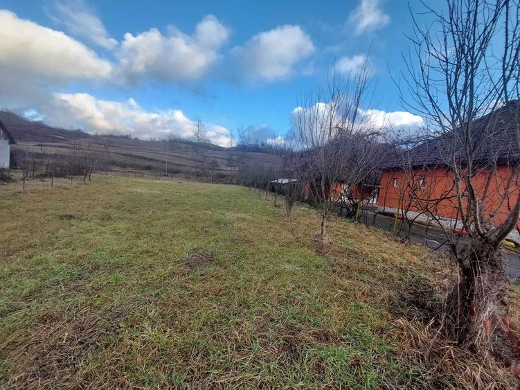 Casă cu 3 camere în Băița