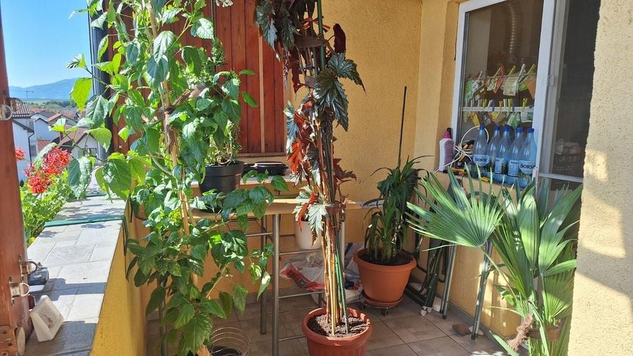 Apartament cu 2 camere în Șelimbăr