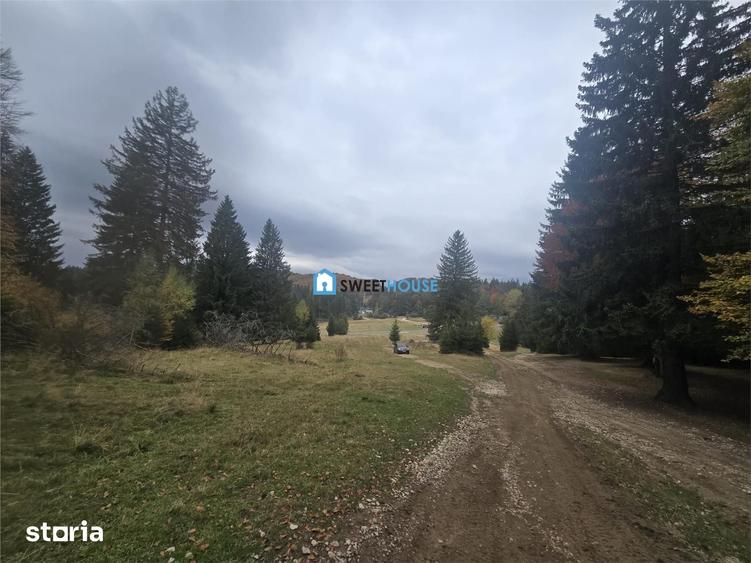Teren de 1000 mp, în Central