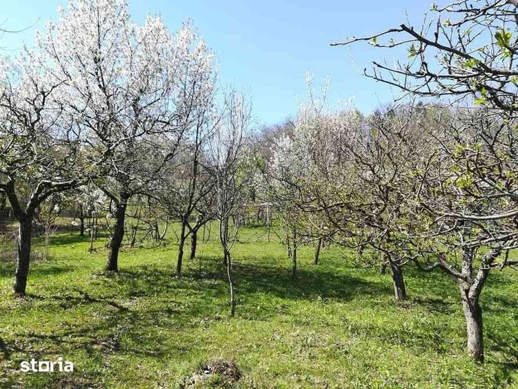 Spațiu comercial, de 12,000 mp, în Posești