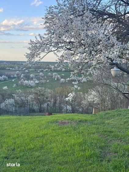 Teren de 1100 mp, în Iepurești