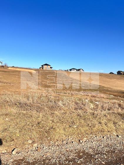 Teren agricol extravilan de 2500 mp, în Moara Nica