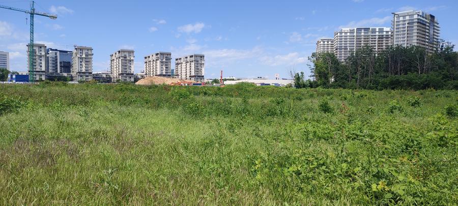 Teren Construcții intravilan de 1000 mp, în Lacul Tei