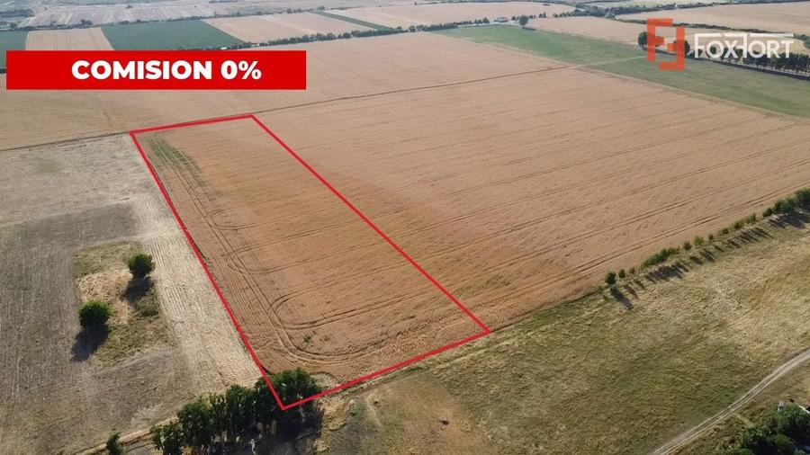 Teren Construcții intravilan de 24700 mp, în Pădureni (Jebel)