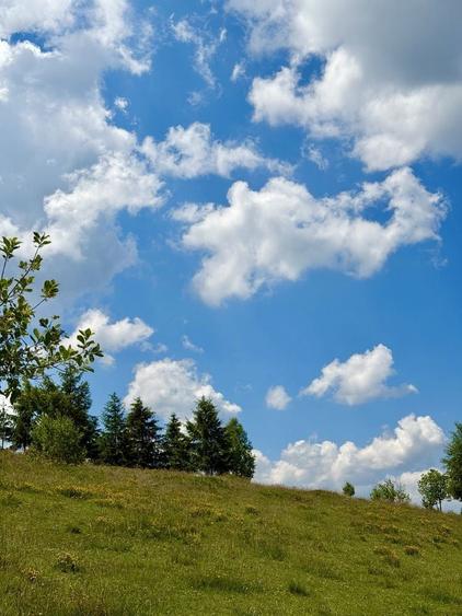 Teren de 10000 mp, în Măguri