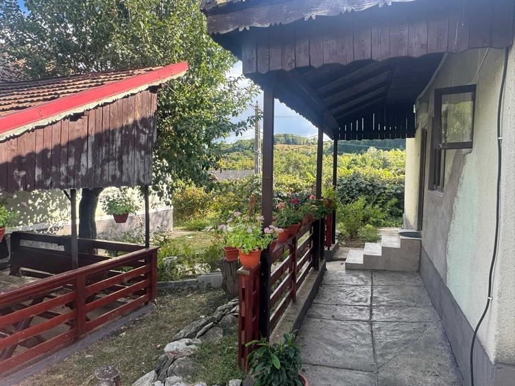 Proprietate cu Doua Case - 6