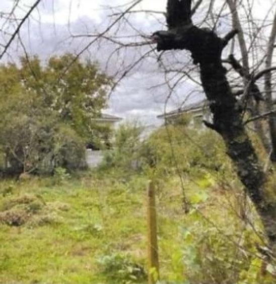 Casa de vanzare in Tunari cu teren in suprafata de 700 mp la 139.000 - 10