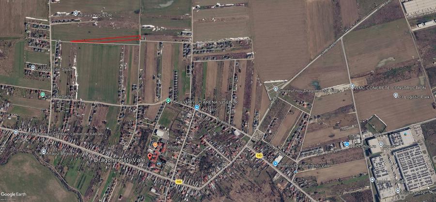 Teren Construcții intravilan de 10000 mp, în Dragomirești-Vale