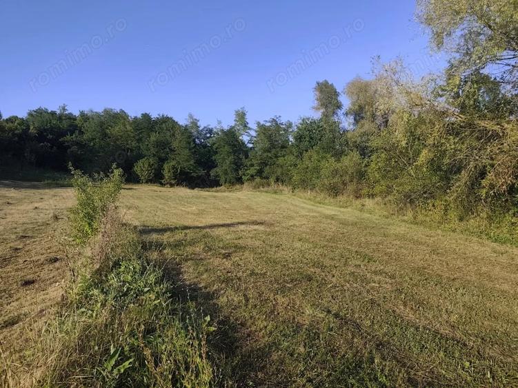 Teren de 2631 mp, în Malu Mierii