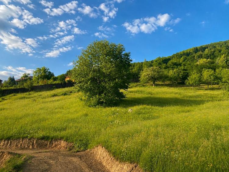 Teren de 30000 mp, în Muntele Rece