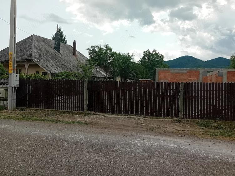 Casă cu Teren 1450 Mp în Viișoara
