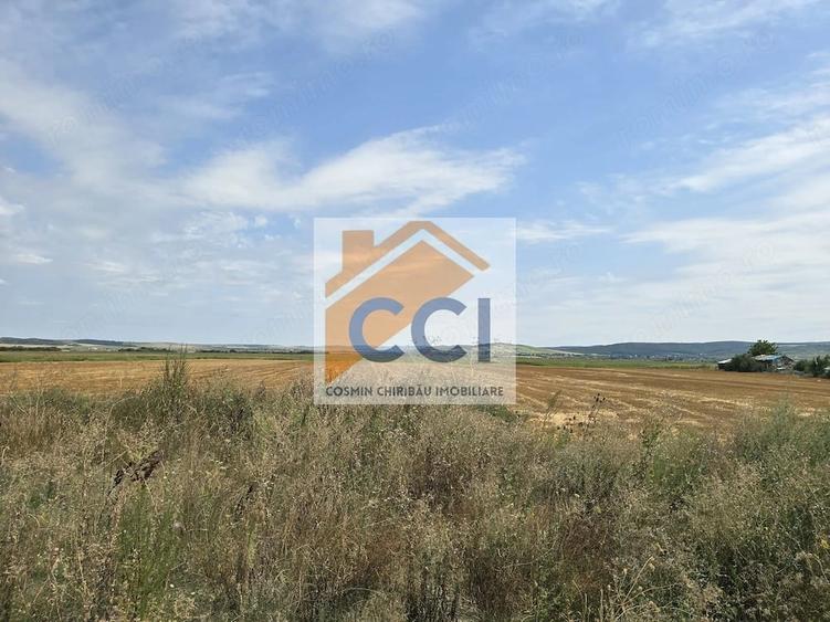 Teren intravilan 50.000 mp, Bacau, ?oseaua Hol - 3