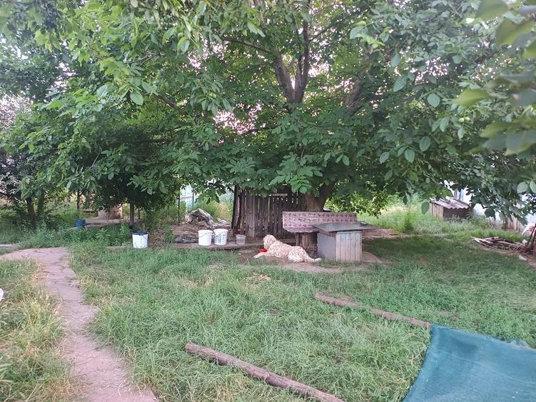 Casă cu 3 camere cu Teren 2500 Mp în Central