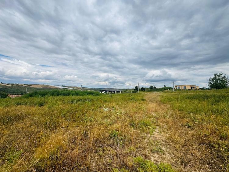 Teren agricol intravilan de 657 mp, în Paleu