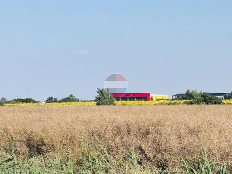 Teren de 8475 mp, în Joița