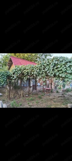Casă cu Teren 400 Mp în Central