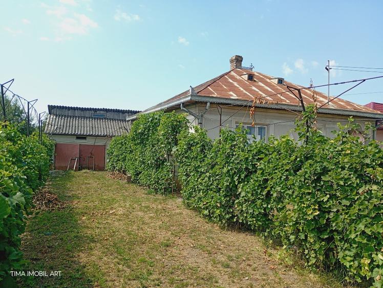 Casă individuală cu 3 camere cu Teren 3800 Mp în Broscăuți