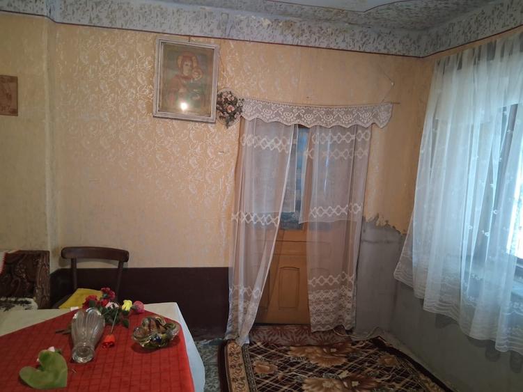 Vand casa 1000 mp in Valea Stanciului - 4