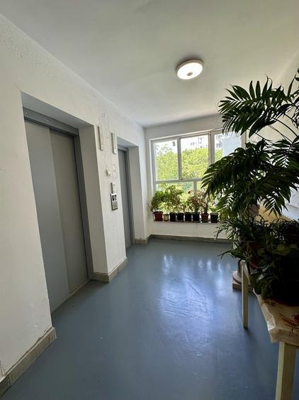 Drumul Taberei, zona Bd. 1 Mai, 5-7 min. statia de Metrou Favorit - 5