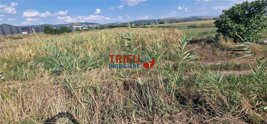 Teren Construcții intravilan de 5756 mp, în Ampoi 1