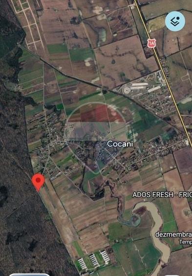 Teren Construcții intravilan de 988 mp, în Cocani