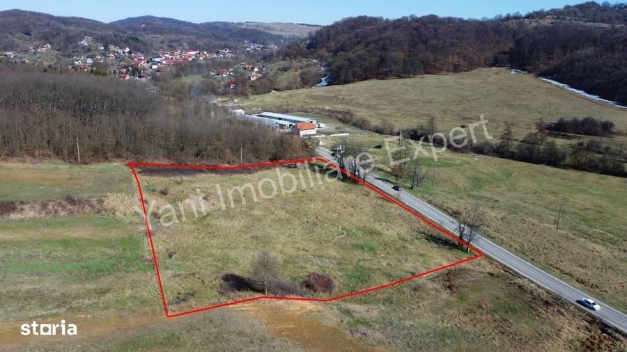 Spațiu comercial, în Valea Iașului
