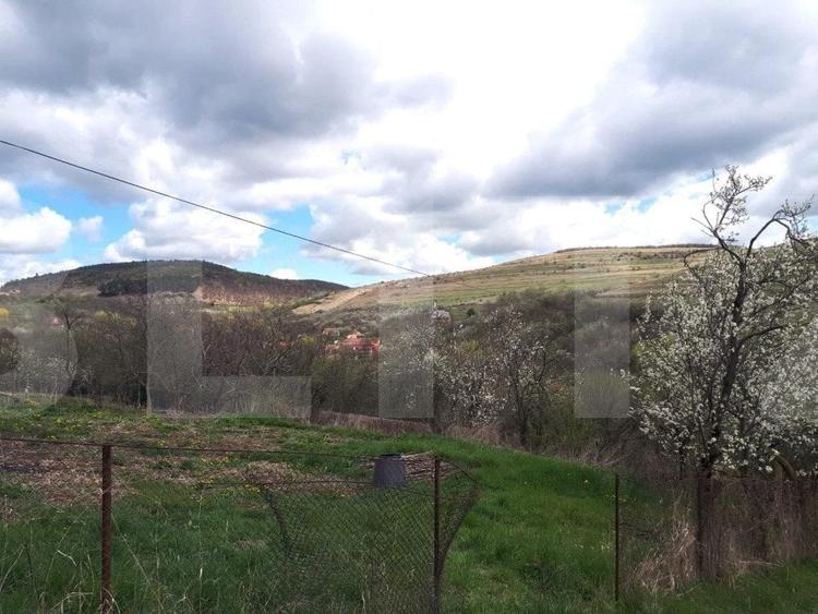 Oportunitate !Teren intravilan 800 mp cu autorizatie construire , Ciurila ! - 2