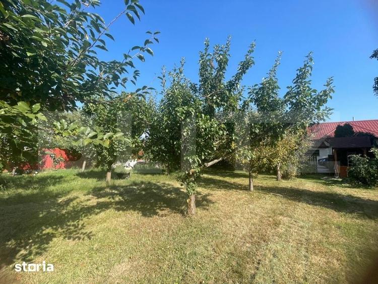 Casă cu 3 camere cu Teren 917 Mp în Mihai Viteazu