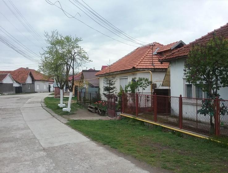 ID:16525 Casa si Teren Licitatie publica - 2