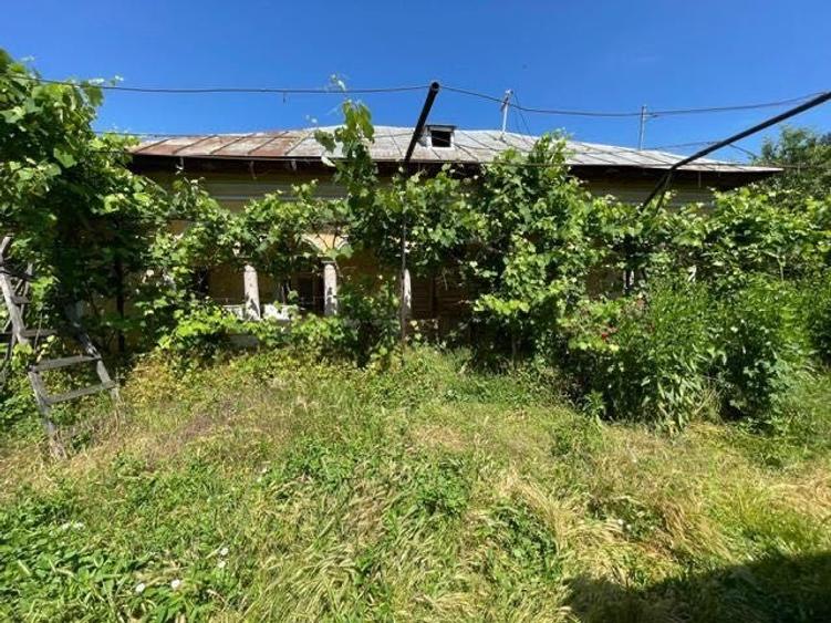 Teren de 17700 mp, în Gura Foii