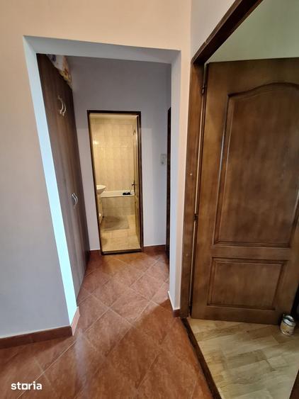 !! 3 Camere model mare.. zona Timocului-A. Saguna vedere spre Bega - 6