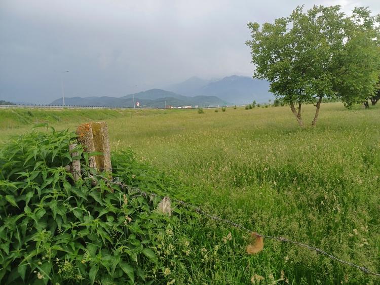 Teren Construcții intravilan de 10500 mp, în Exterior Nord