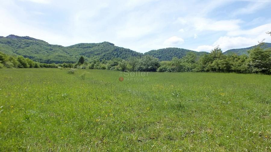 Teren Construcții intravilan de 2900 mp, în Tohănița