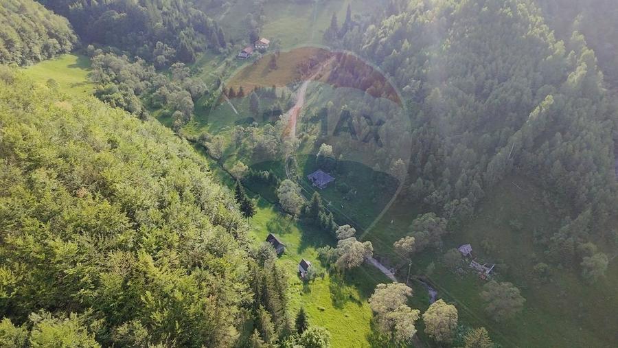 Teren agricol extravilan de 38704 mp, în Șirnea
