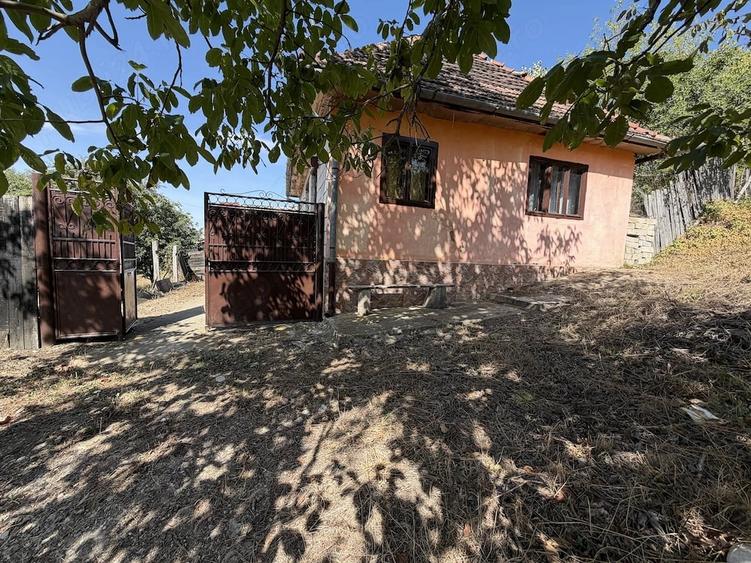 Casă cu Teren 2500 Mp în Prunișor