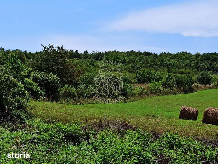 Parcele teren 4038 mp - Parcelabil - Zona Valea Stanelor - 3