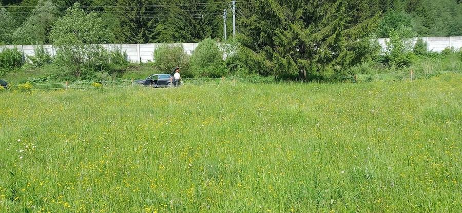 Teren de 1402 mp, în Malul Ursului
