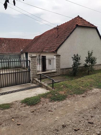 Casă cu Teren 8000 Mp în Turmaș