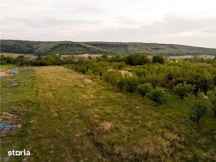 RECO Teren intravilan de vanzare Betfia, Bihor - 3000 mp, front strada - 1