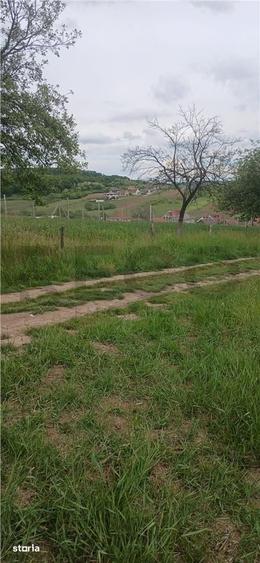 Teren de 500 mp, în Hidiș