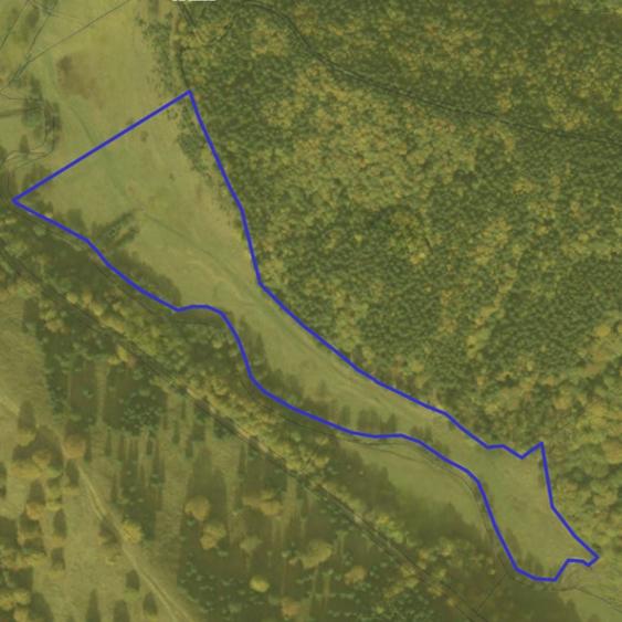 Teren agricol extravilan de 57000 mp, în Vama Buzăului