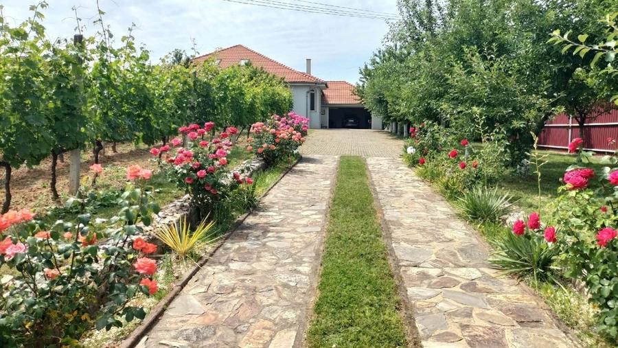 Casă individuală cu 10 camere cu Canalizare în Băile Felix