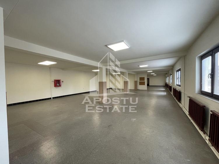 Spațiu comercial, de 800 mp, în Dumbrăvița